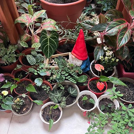 Appartamento Casa Micaela Iquitos Esterno foto