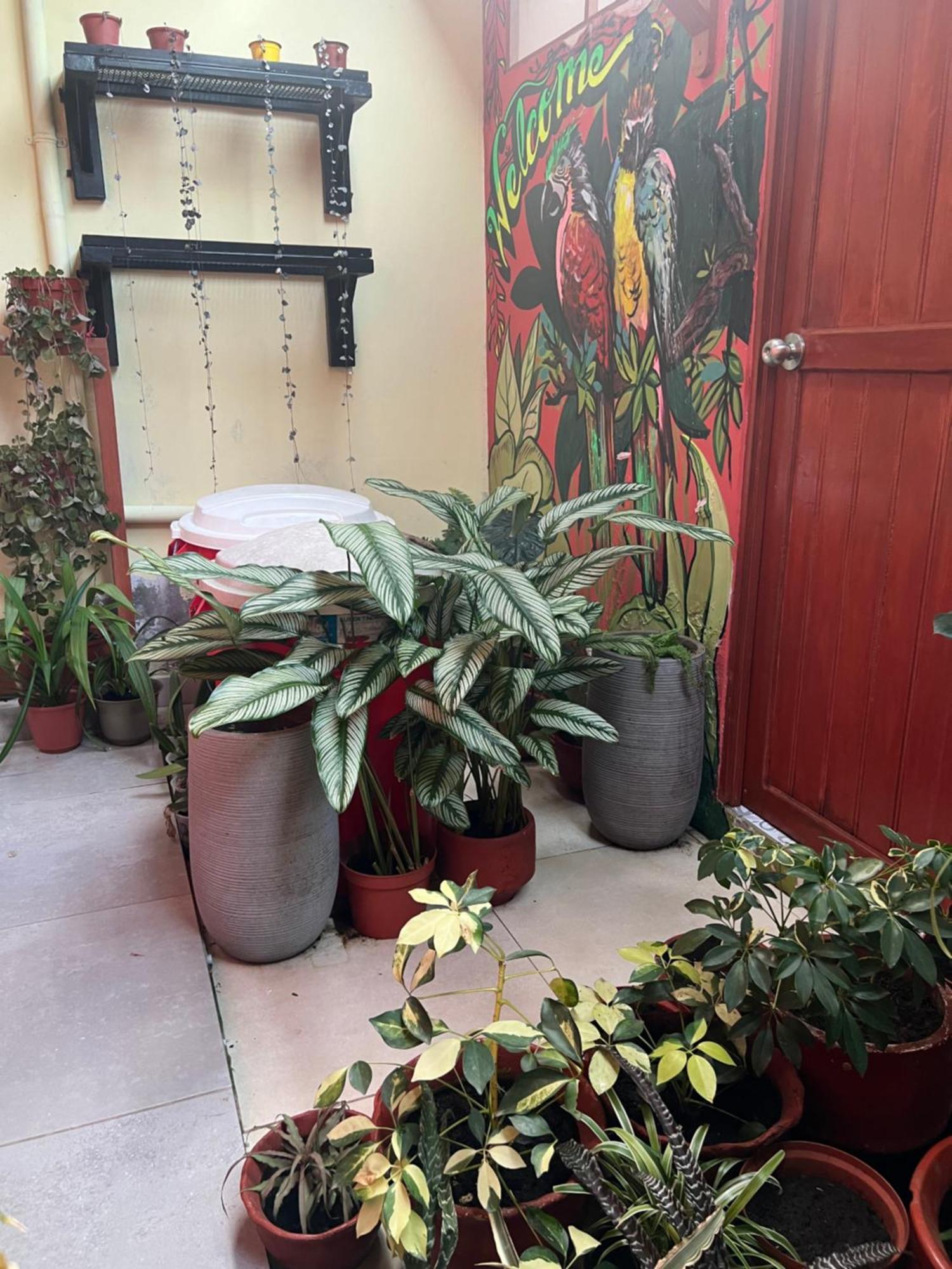 Appartamento Casa Micaela Iquitos Esterno foto