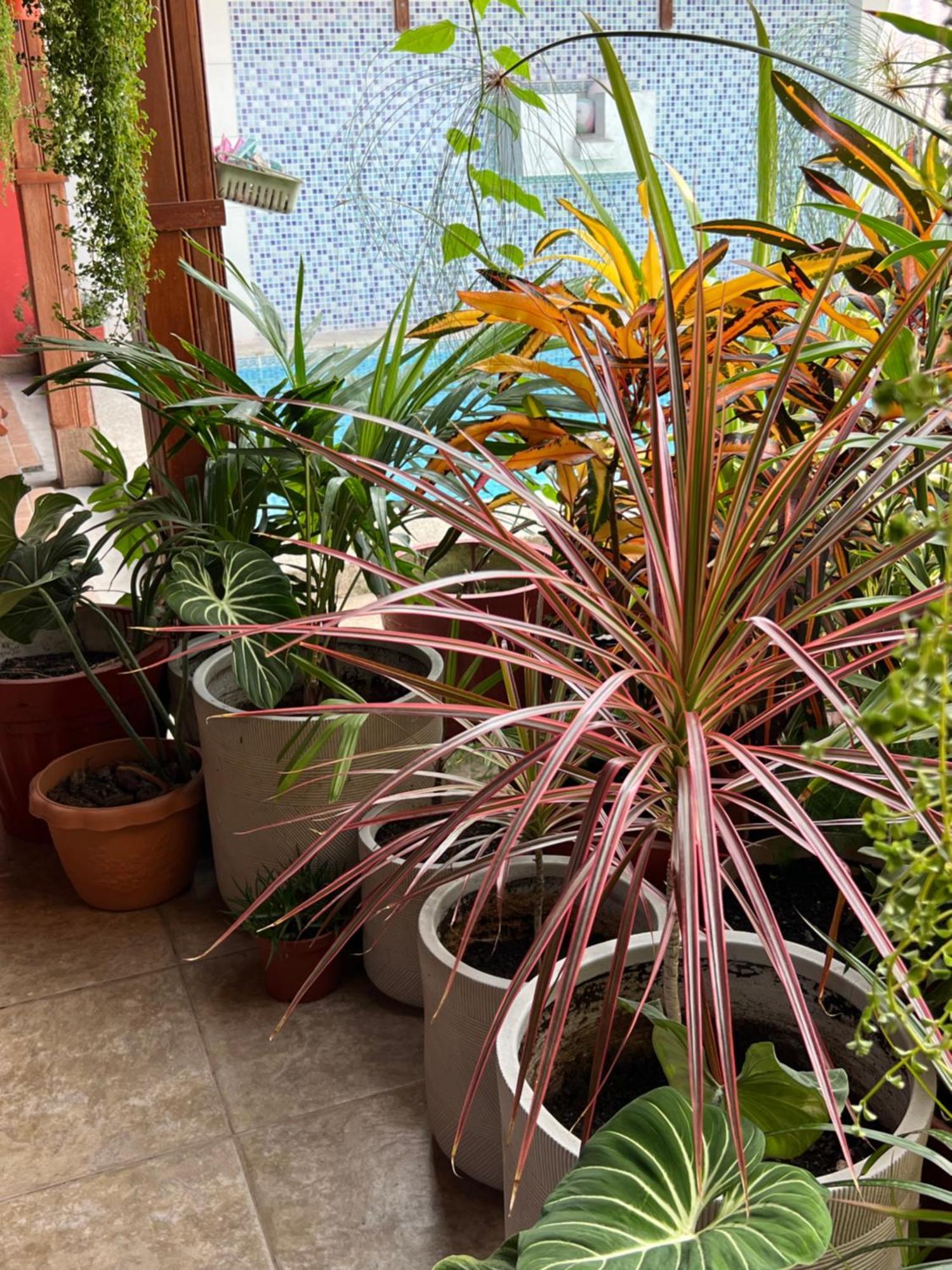 Appartamento Casa Micaela Iquitos Esterno foto
